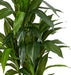 48 in Artificial Dracaena Real Touch Plant with Pot