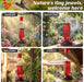Glass Hummingbird Feeder for Outdoors Hanging, 16 OZ Humming Birds Feeders with 4 Bee Guard Feeding Ports & Built-in Ant Moat, Bird Feeder for Outside, Gifts for Women Mom, Red