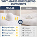 18x18 Throw Pillows Inserts 2 Pack, Decorative Pillows for Couch Bed