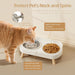 Elevated Cat Bowl, Raised Cat Food and Water Bowl Set for Indoor Cats, Splash Proof with 2 Stainless Steel Pet Food Bowl