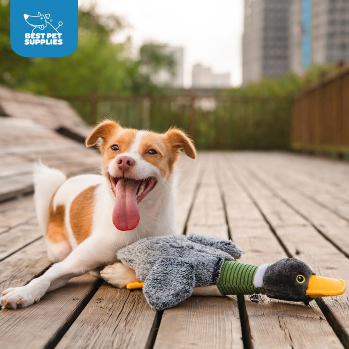 Interactive Squeaky Dog Chew Toy, Ideal Dog Toys for Chewers, Small, Medium & Large Dogs, and Fetch Lovers - Mallard Duc