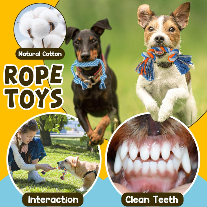 9 Pack Luxury Puppy Toys for Teething Small Dogs, Puppy Chew Toys with Cute Squeaky Dog Toys, Ball and More Rope Dog Che