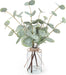 Artificial Eucalyptus Stems in Glass Vase with Faux Water, 13.5" Fake Plants for Home Decor, Coffee Table Centerpieces, Office, Bathroom & Farmhouse - Green Faux Plants Decorations