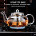 Tea Pot for Stove, 20 oz Stovetop Clear Glass Teapot with Infuser
