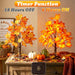 Fall Decorations for Home Fall Maple Tree Fall Decor Fall Trees