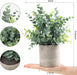 2 Pack Small Fake Plants Eucalyptus Potted,Sage Green