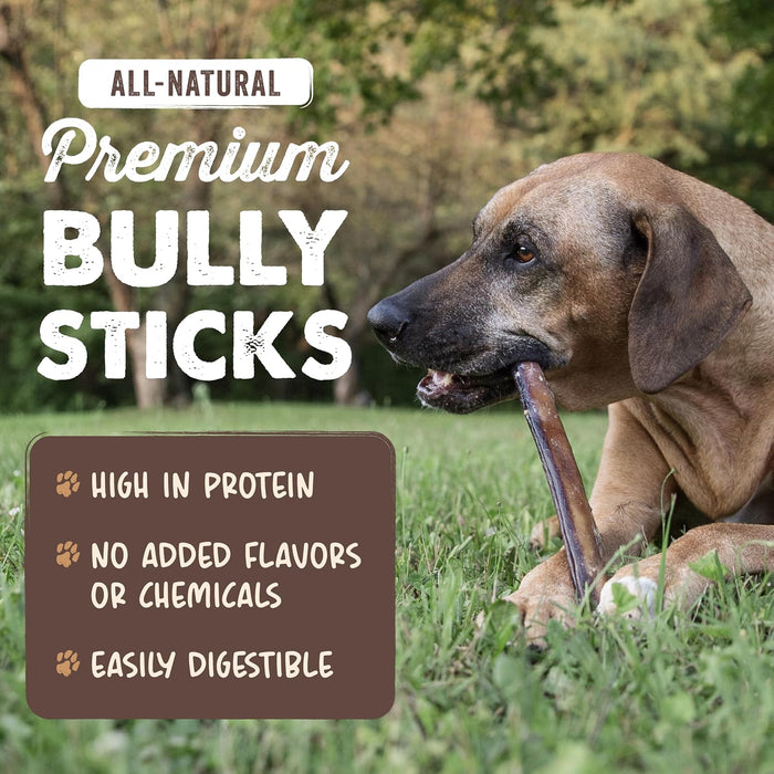 12" Bully Sticks for Dogs - Large, Medium and Small Dog Chew