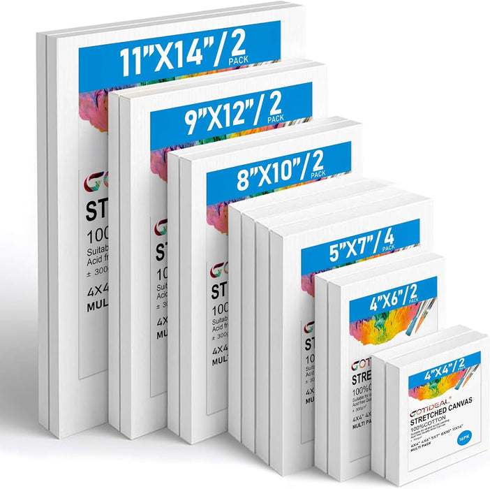 Canvas for Painting, 14 Pcs Muti Pack Stretched Painting Canvas