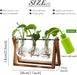 Plant Terrarium with Wooden Stand, Air Planter Bulb Glass Vase Metal Swivel Holder Retro Tabletop for Hydroponics Home G