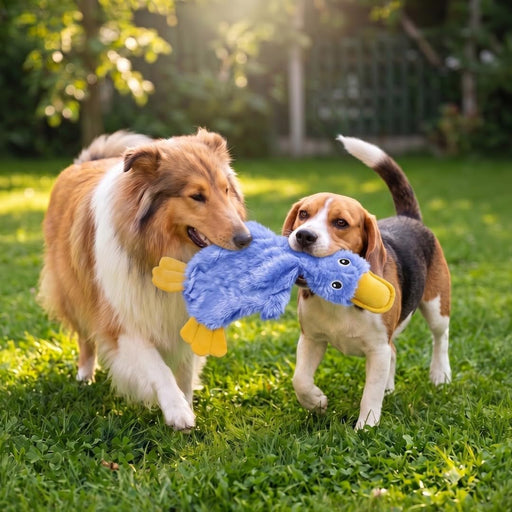 Interactive Squeaky Dog Toy - Crinkle Duck, Blue