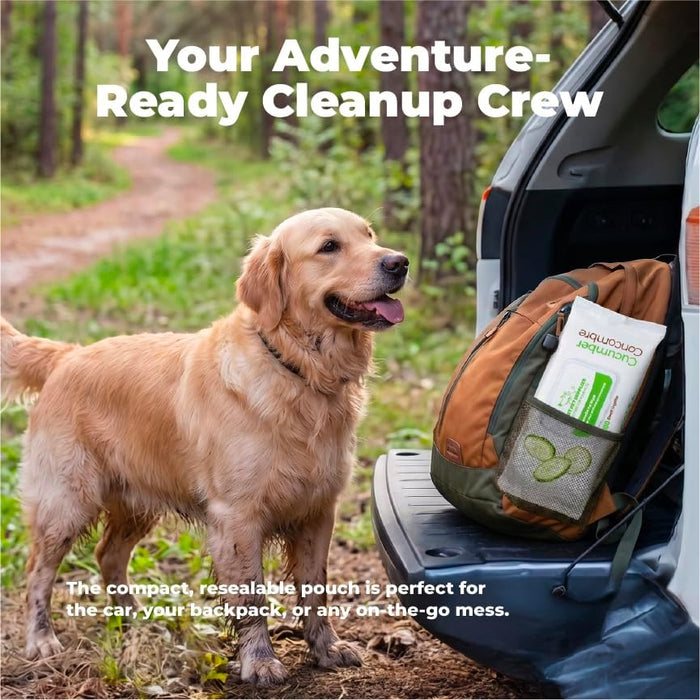 Cleaning Dog Wipes - Calming Lavender, 100 Count