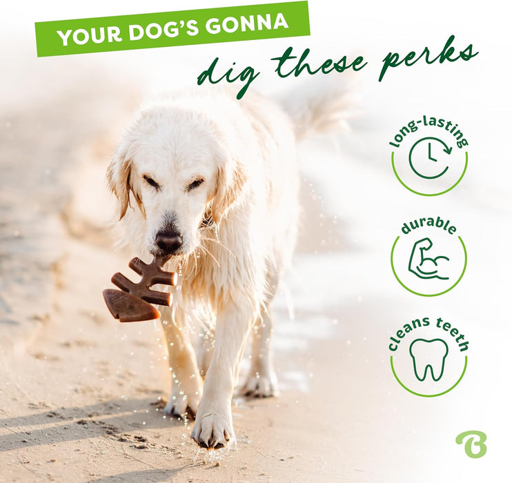 Fishbone Durable Dog Chew Toy for Aggressive Chewers, Medium