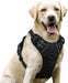 Dog Harness, No Pull for Large Dogs with 2 Leash Clips, Pet Vest