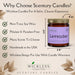 Wickless Pumpkin Spice Scented Candles for Candle Warmer Lamp, Many Scents to Choose, 100% Non-Toxic Soy Wax, Candle Mel