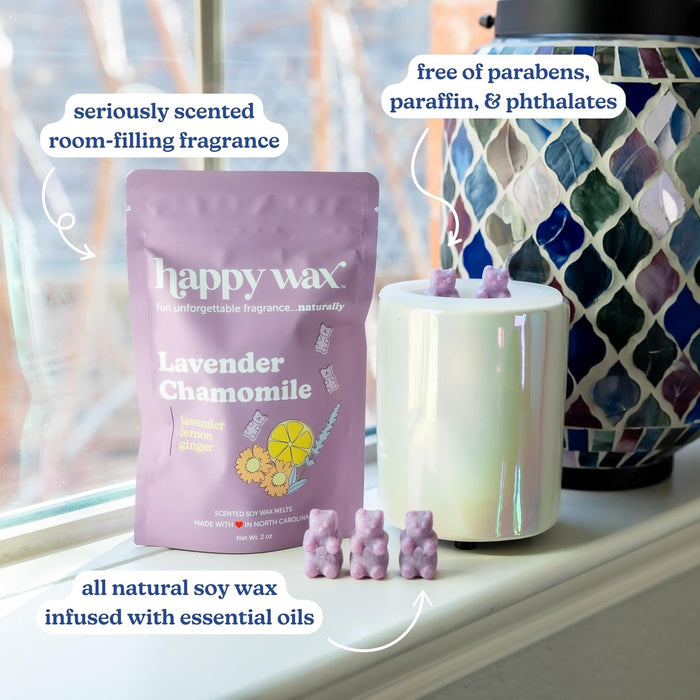 Scented Soy Wax Melts 6oz Variety Pack - Spa Day Mix