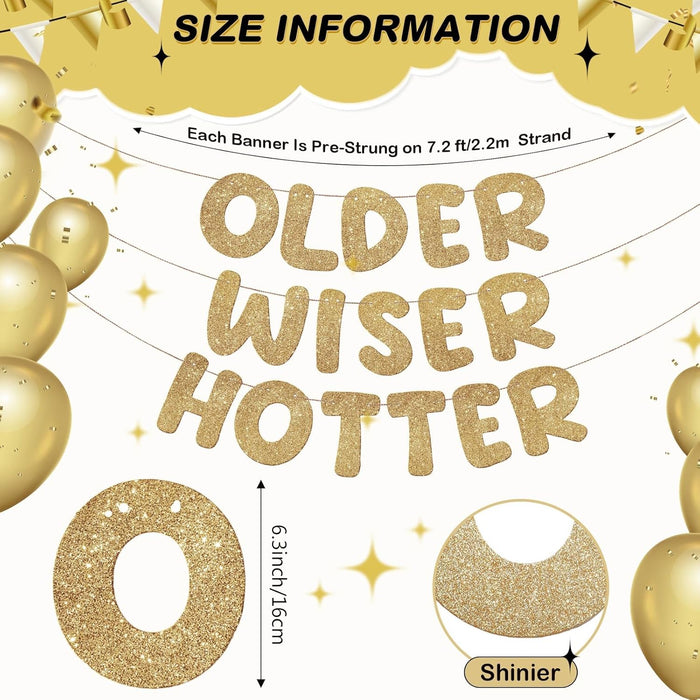 Older Wiser Hotter Banner Birthday sign, Champaign Gold