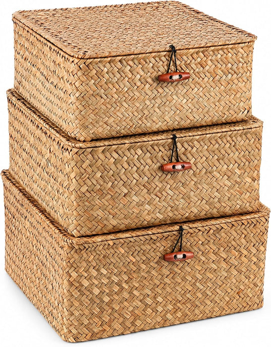 Square Handwoven Seagrass Wicker Storage Baskets with Lids, Set of 3