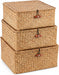 Square Handwoven Seagrass Wicker Storage Baskets with Lids, Set of 3