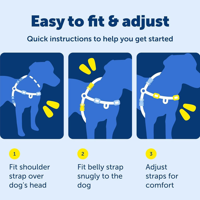 Easy Walk Harness, No Pull Dog Harness, Teal, Medium