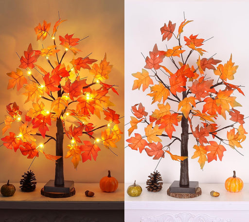 1 Pack 24 Inch Fall Maple Tree with 48LED Battery Operated Lighted Tabletop Artificial Tree with Pumpkin Acorn Maple Fal