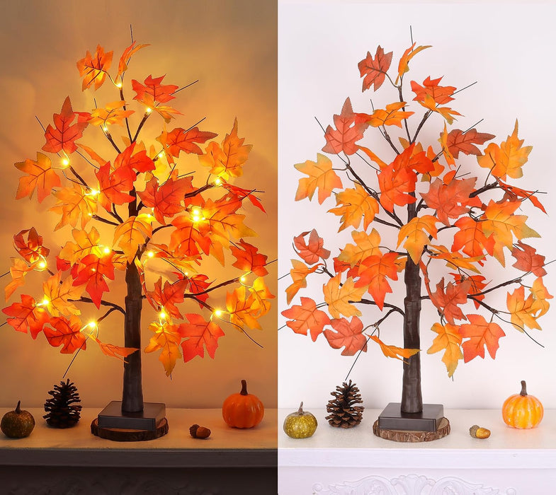 1 Pack 24 Inch Fall Maple Tree with 48LED Battery Operated Lighted Tabletop Artificial Tree with Pumpkin Acorn Maple Fal
