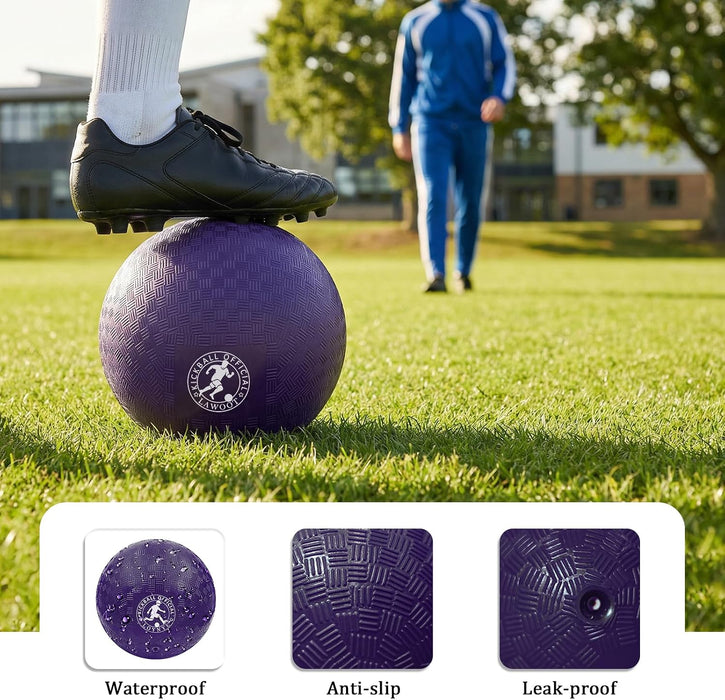 9 Inch Playground Ball Dodgeball Balls Kickball, Pack of 6