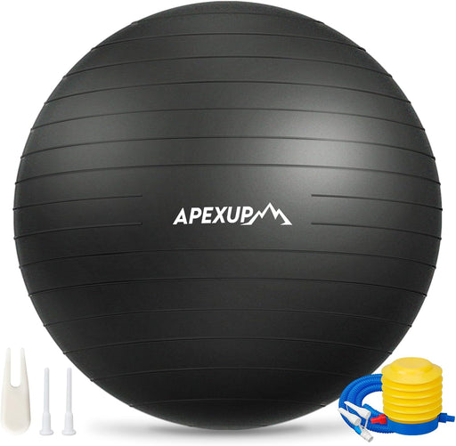 Yoga Ball, 660 lbs Anti-Burst Exercise Ball with Pump, 5 Sizes