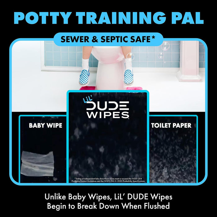Flushable Potty Training Water Wipes, Unscented, 168 Count