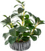 Fake Plants Potted Artificial Succulents Home Office Decor