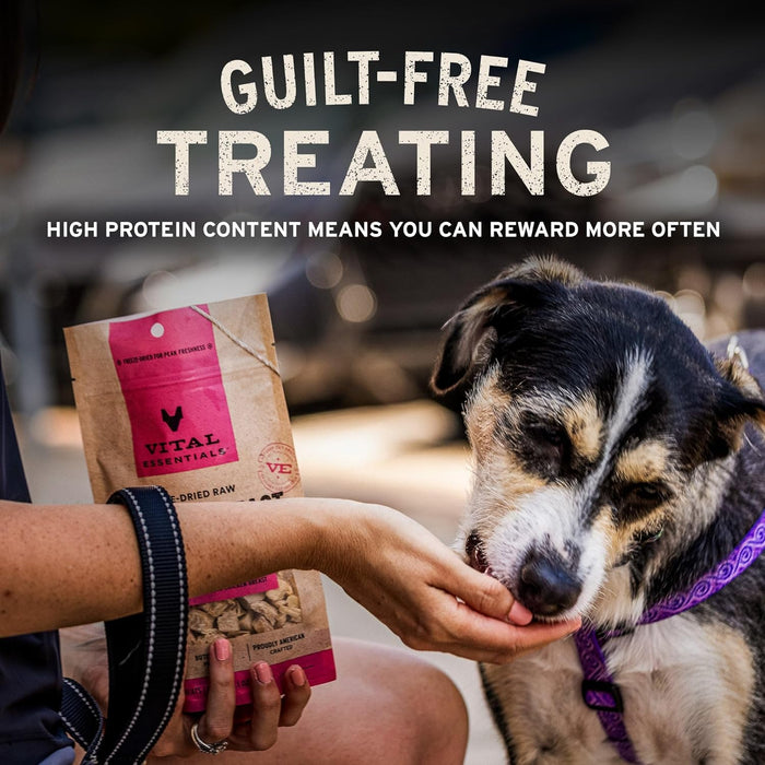 Freeze Dried Raw Chicken Hearts Dog Treats, 1.9 oz Bag