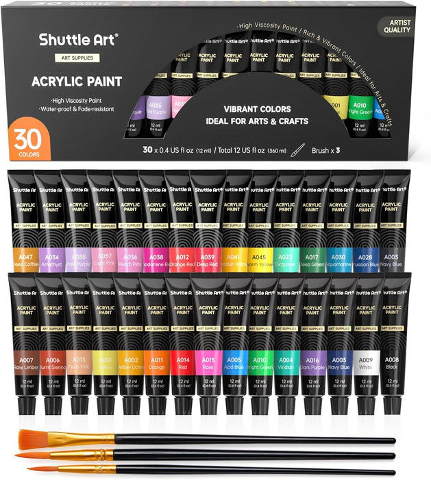 Acrylic Paint Set, 30 x12ml Tubes Artist Quality Non Toxic Rich Pigments Colors Great for Kids Adults Professional Painting on Rocks Canvas Wood Clay Fabric Ceramic Crafts