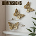 3D Butterfly Wall Decor Set – Resin Wall Decor for Living Room, Bedroom, Bathroom, Dining Room, Outdoor and Gallery Wall