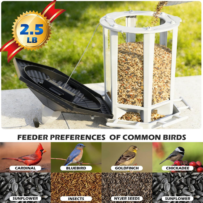 2 Pack Solar Bird Feeders for Outdoors Hanging, Assembly Required, 1-Min Easy Setup, Wild Seed Feeders for Cardinals Chi