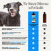 Chlorhexidine Dog Shampoo Itchy Skin Relief, Anti-Itch, 16oz