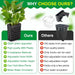 2026 Latest Upgraded Aquarium Plant Holder Adjustable Height with Extendable Hook and Suction Cup for Fish Tank Aquaponic Plant Cultivation and Aquascape Accessories Decorations (2 Pack)