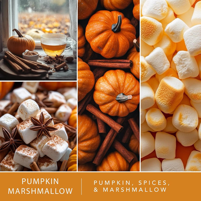 Fall Wax Melts Pumpkin Party 4pk – Long Lasting, Strong Scent Melts for Warmers, Includes Pumpkin Spice with Apple Muffi