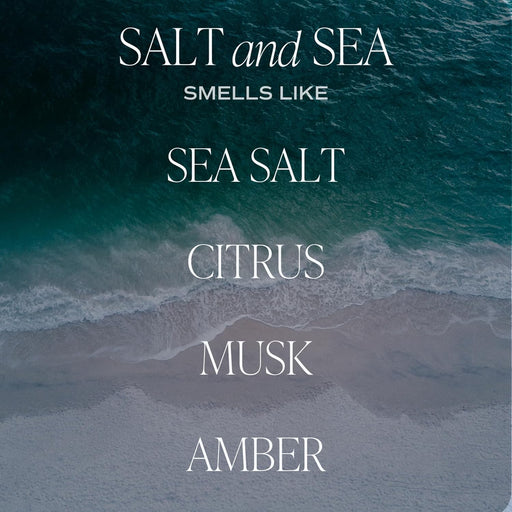 Salt & Sea Reed Diffuser Set - Sea Salt Citrus & Musk Amber Scent Diffuser - Reed Diffusers for Home with Long Lasting Fragrance - Non-Toxic Oil Reed Diffuser - Made in the USA