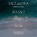 Salt & Sea Reed Diffuser Set - Sea Salt Citrus & Musk Amber Scent Diffuser - Reed Diffusers for Home with Long Lasting Fragrance - Non-Toxic Oil Reed Diffuser - Made in the USA