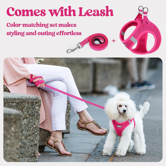 Dog Harness Small Sized and Leash Set, Step-in Puppy Pet Vest