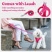 Dog Harness Small Sized and Leash Set, Step-in Puppy Pet Vest