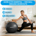 Yoga Ball, 660 lbs Anti-Burst Exercise Ball with Pump, 5 Sizes