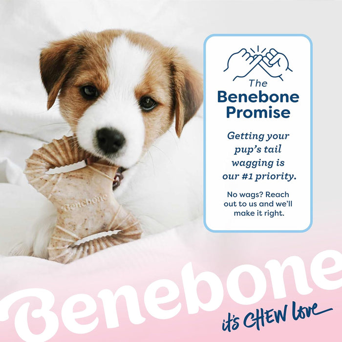 Puppy 2-Pack Dental Chew/Wishbone Dog Chew Toys, Real Bacon