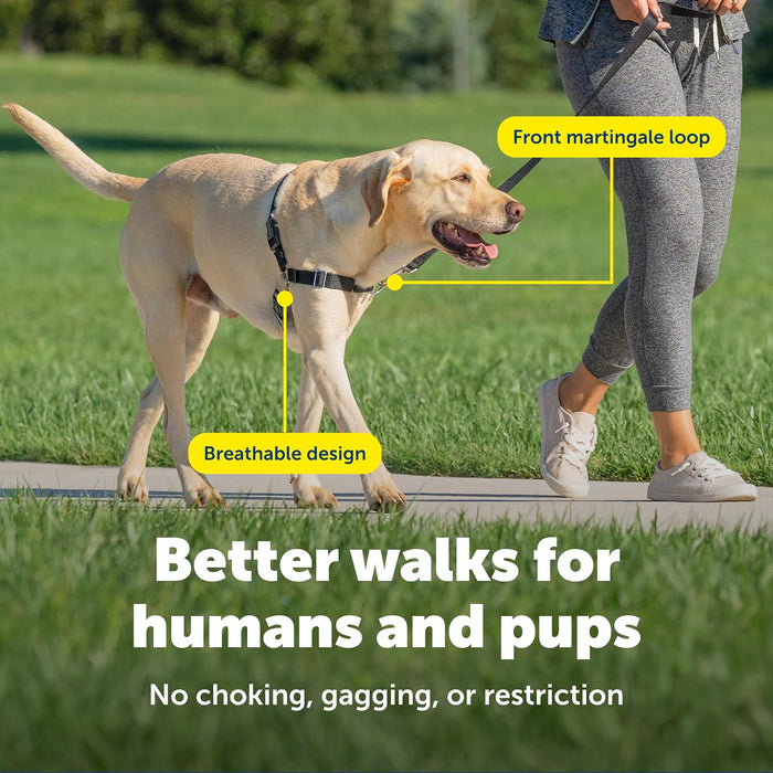 Easy Walk Harness, No Pull Dog Harness, Teal, Medium