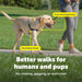 Easy Walk Harness, No Pull Dog Harness, Teal, Medium