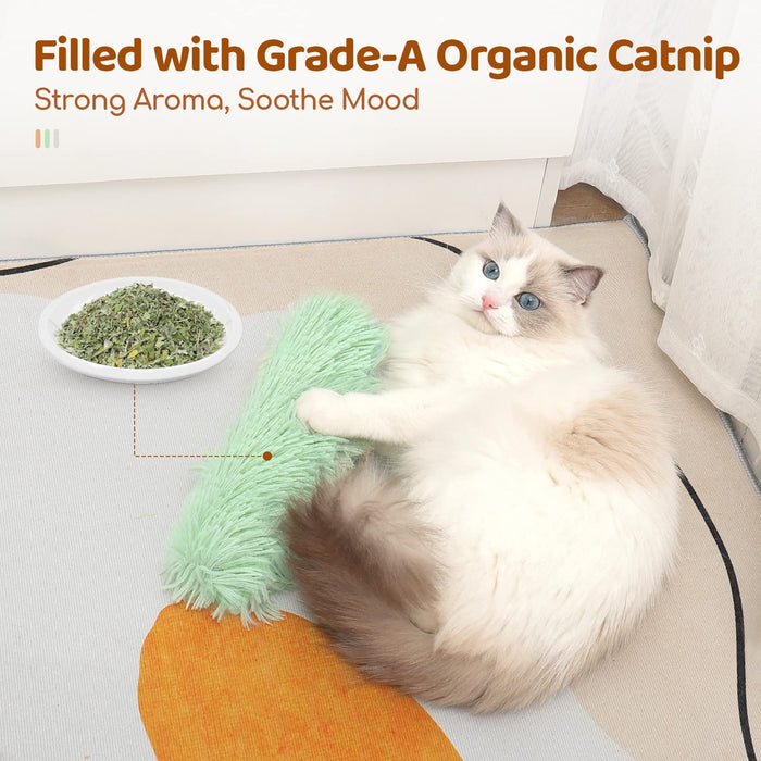 Cat Toys Pillows, 3 Pack, Catnip Inside, Indoor Interactive Fun