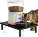 Adjustable Cat Food Stand, Elevated Cat Feeder Stand with 4 Height Settings, Automatic Cat Feeder & Tradition Bowls, Rai