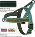 No Pull Dog Harness with Soft Padded Handle,Reflective Strip Escape Proof and Quick Fit to Adjust Harness,Easy for Training Walking for Small & Medium and Large Dogs(Green,L)