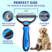 Deshedding Brush & Metal Comb Grooming Combo