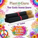 Japanese Cherry Blossom Incense Sticks 11" - 1 Bundle 85 to 100 Sticks - Smooth and Clean Long Burn Time, 45 to 60 Minut