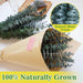 11 PCS Real Dried Eucalyptus Stem for Shower & Bathroom Decor